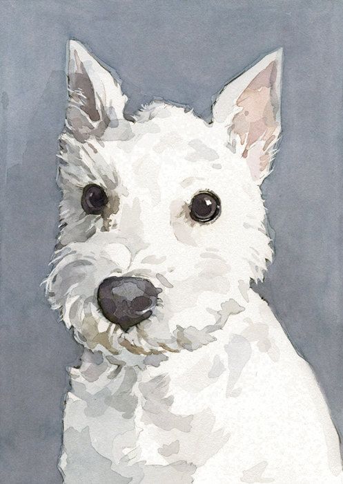 497x700 Dog Watercolor Pet Portrait 5x7 Realistic Painting, White - Painting Of White Dog