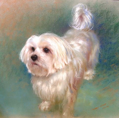 483x480 In Appreciation Of Art, Meet My Friend, Annie And Artist, May Cao - Painting Of White Dog