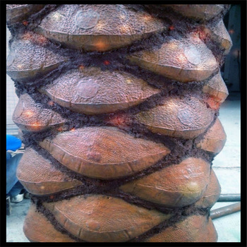 350x350 Painting Tree Bark With Yohimbe - Painting On Palm Tree Bark