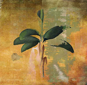 300x294 Palm Tree Bark Paintings Fine Art America - Painting On Palm Tree Bark