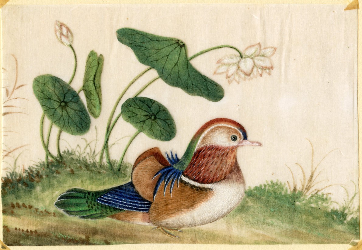 1190x824 Pair Antique Chinese Rice Paper Paintings Of Birds - Painting On Rice Paper