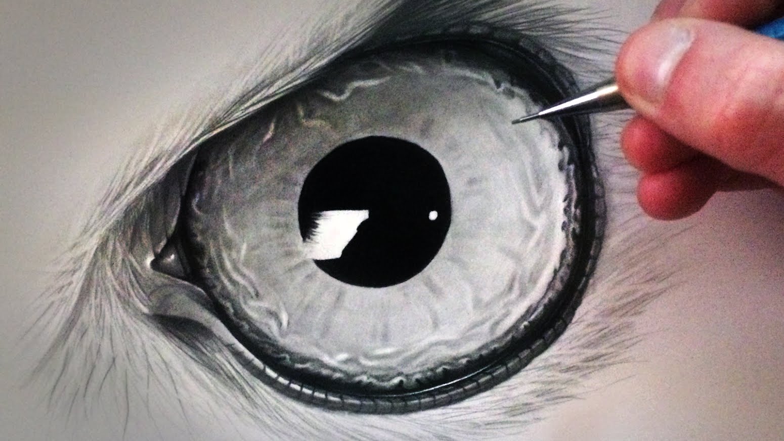 1550x872 How To Draw An Owl Eye - Painting Owl Eyes