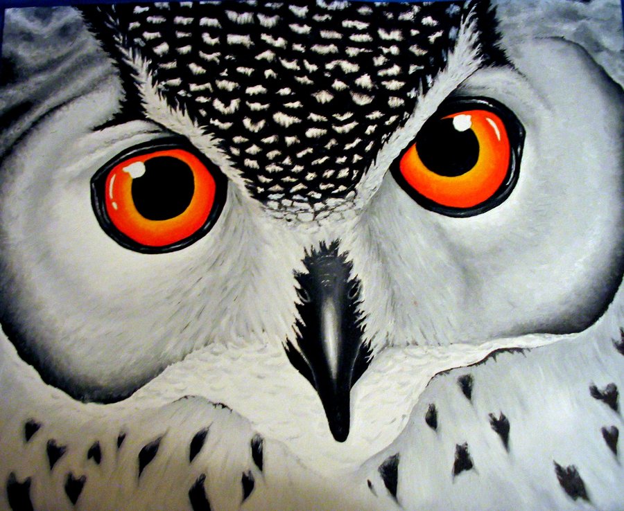900x738 Owl's Eyes By Sarahstar123 - Painting Owl Eyes