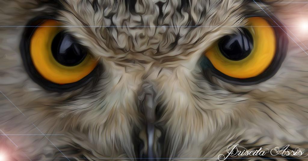 1024x536 Owl Eyes!! By Priscila Costa - Painting Owl Eyes