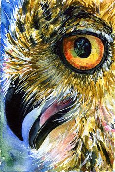 236x352 26 Best Watercolors Of Owl's Eyes Images On Water - Painting Owl Eyes
