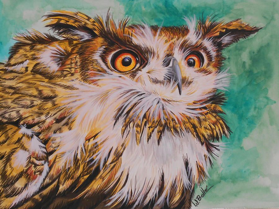 900x675 Owl Paintings And Prints Owl Eyes Painting - Painting Owl Eyes