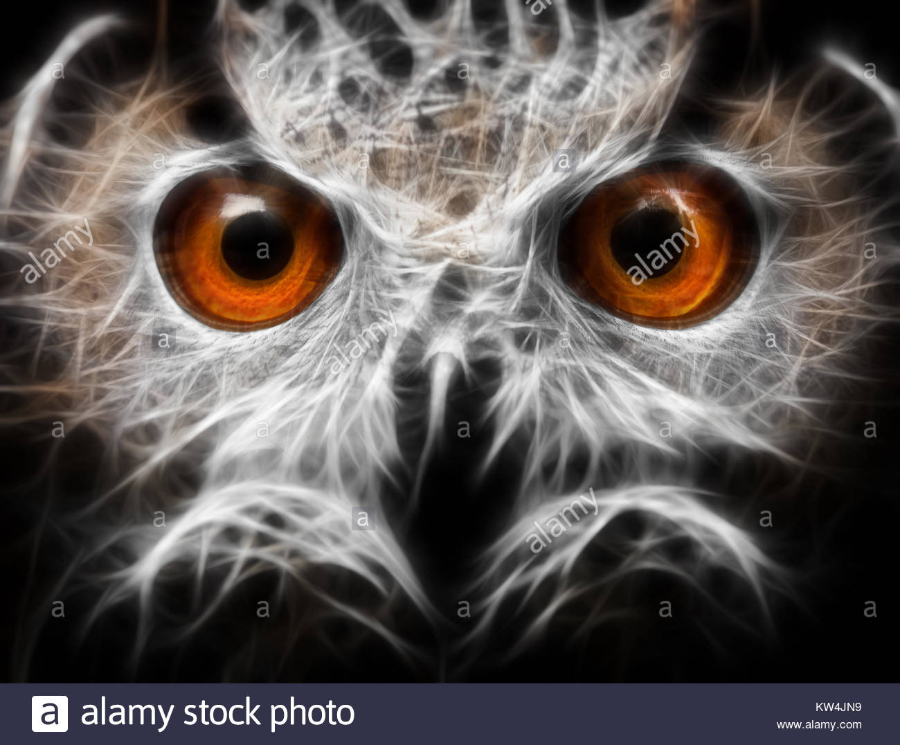 1300x1076 Owls Portrait. Owl Eyes - Painting Owl Eyes
