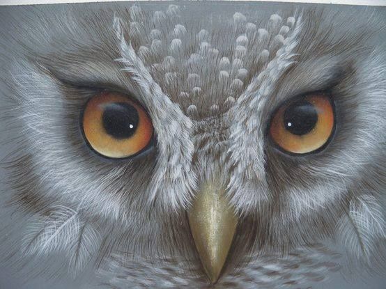 554x415 Pin By Carlos Francisco On Gustos Owl - Painting Owl Eyes