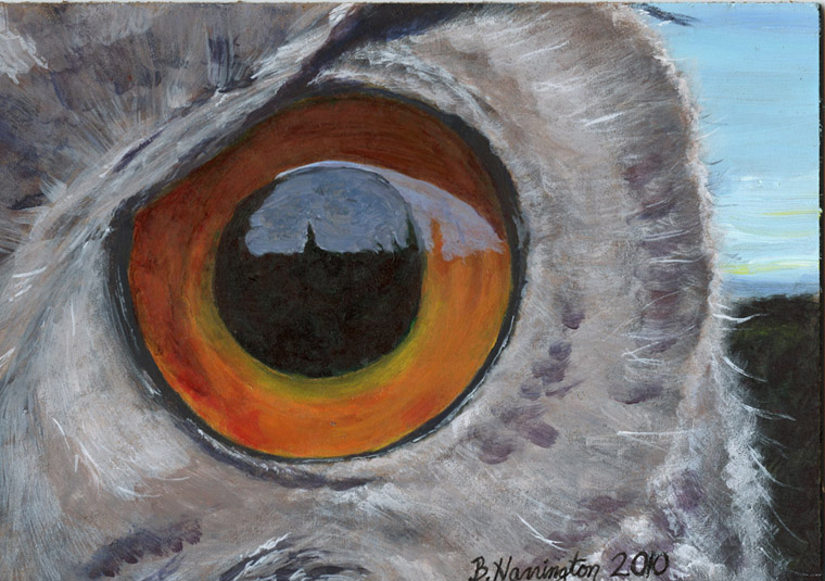760x535 Owl Eye By Eco2pia - Painting Owl Eyes