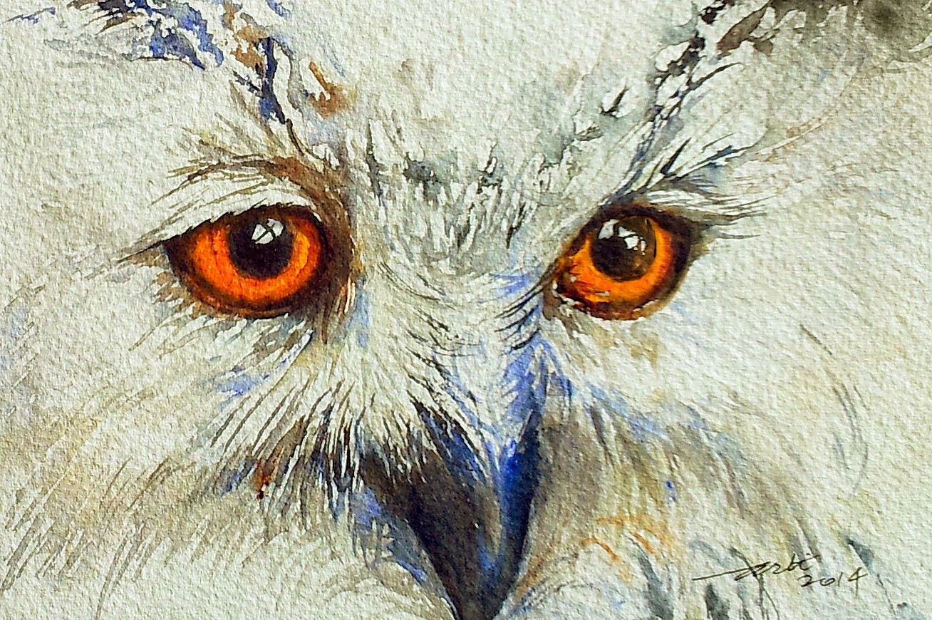 1308x870 Arti's Art - Painting Owl Eyes