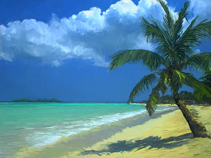 900x675 Palm Beach In The Keys Painting By David Van Hulst - Painting Palm Beach