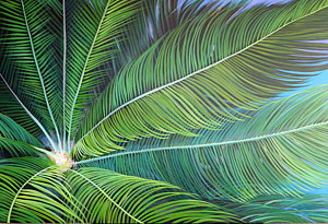 300x205 Palm Leaf Paintings Fine Art America - Painting Palm Fronds