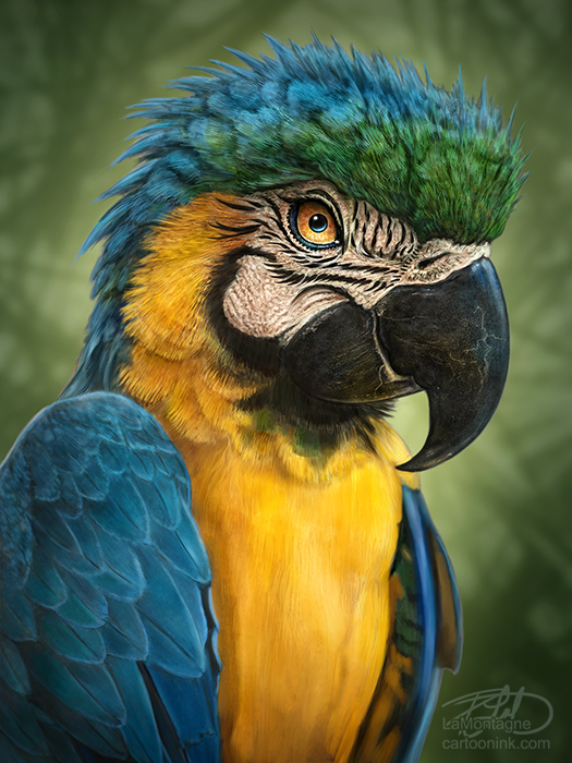 525x700 Parrot - Painting Parrot