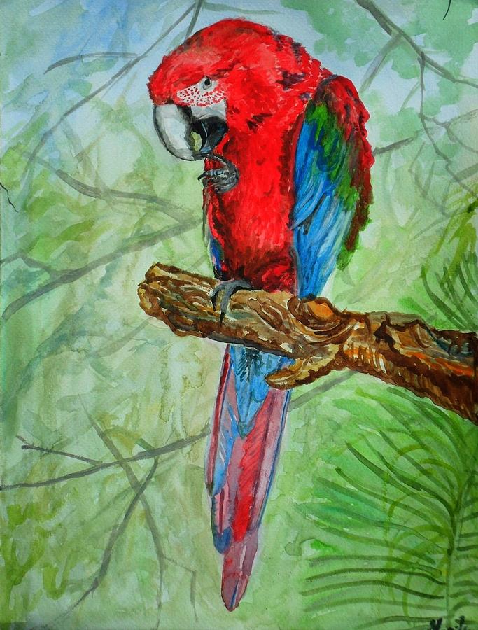 683x900 Parrot Painting By Marily Valkijainen - Painting Parrot