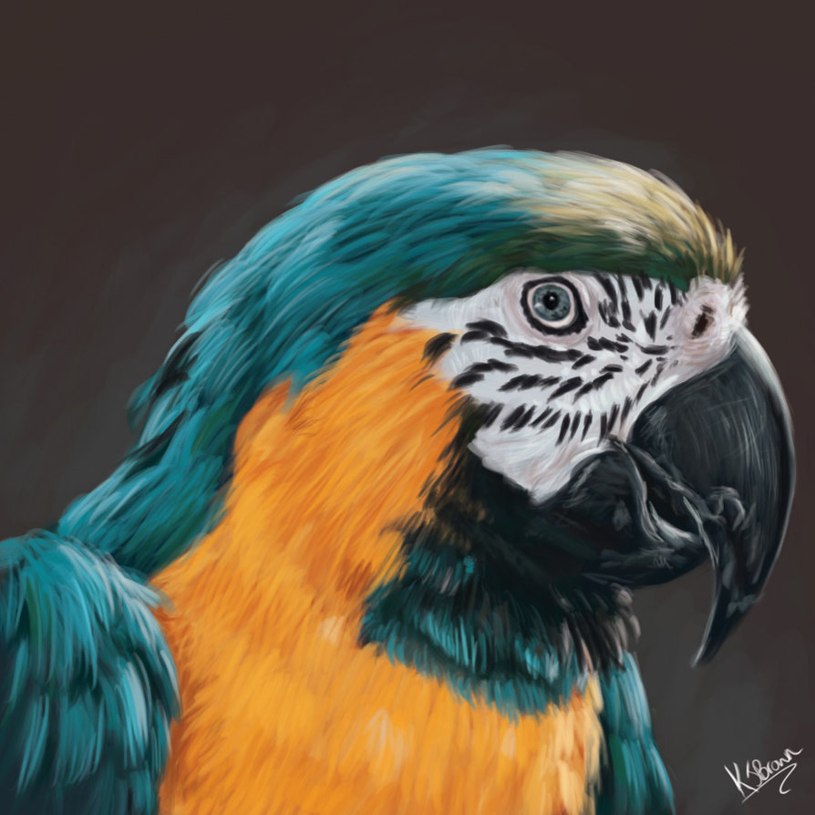 894x894 Parrot Painting Practise By Mzjekyl - Painting Parrot
