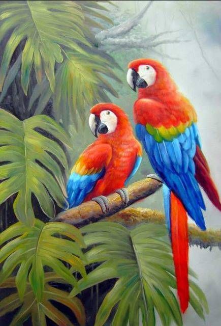 435x640 Parrot Painting Famous - Painting Parrot