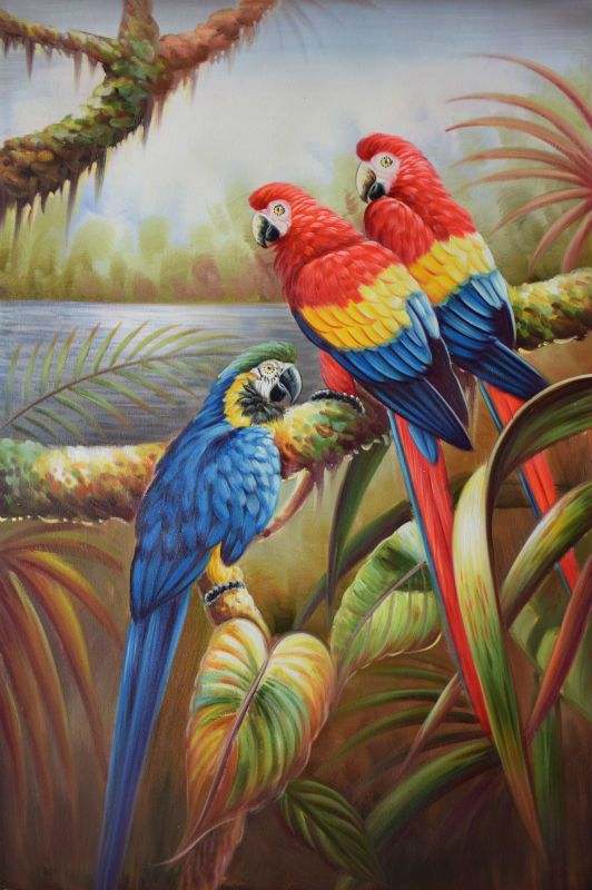 532x800 High Quality Hand Painted Canvas Oil Painting Parrot Painting Home - Painting Parrot