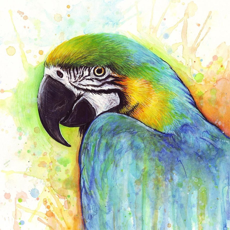 920x920 Macaw Parrot Bird Watercolor Painting, An Art Print By Olga - Painting Parrot