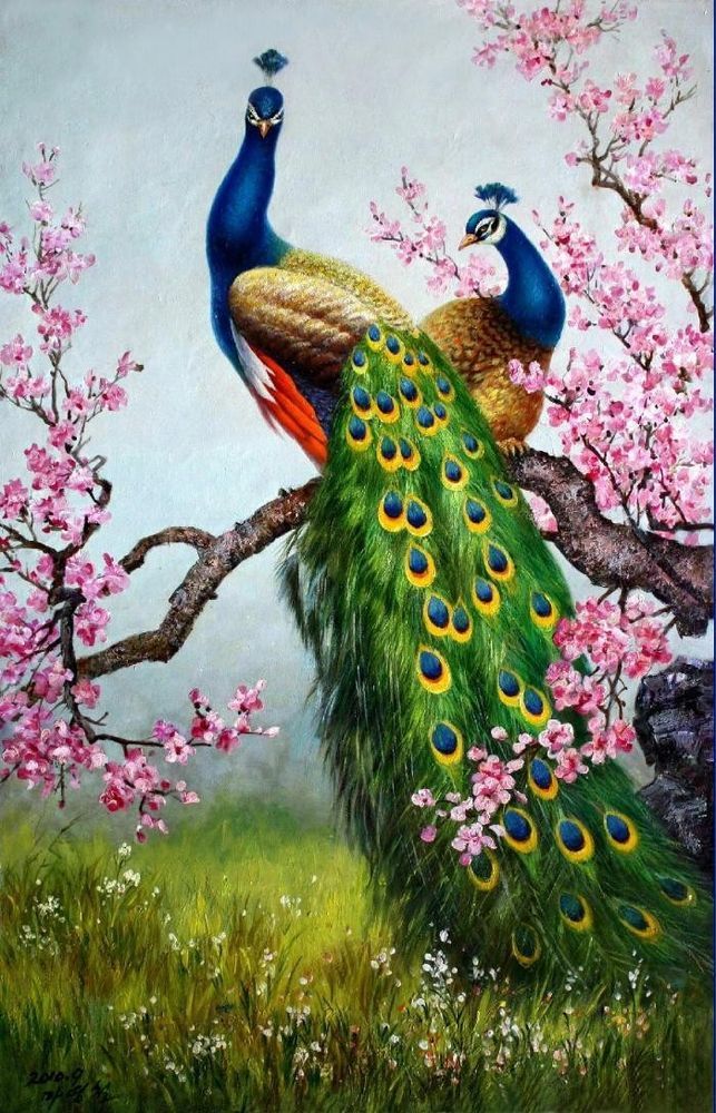 643x1000 Art Print Animals Peacock Oil Painting Picture Printed On Canvas - Painting Pictures