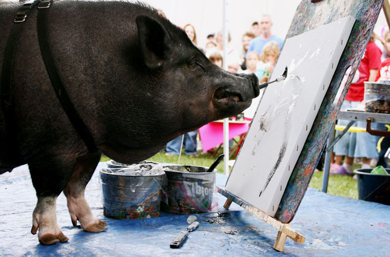 800x527 This Lil' Piggies Home Page - Painting Pig