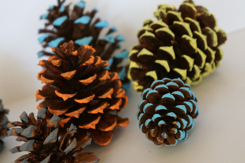 Painting Pine Cones At Paintingvalley Com Explore Collection Of