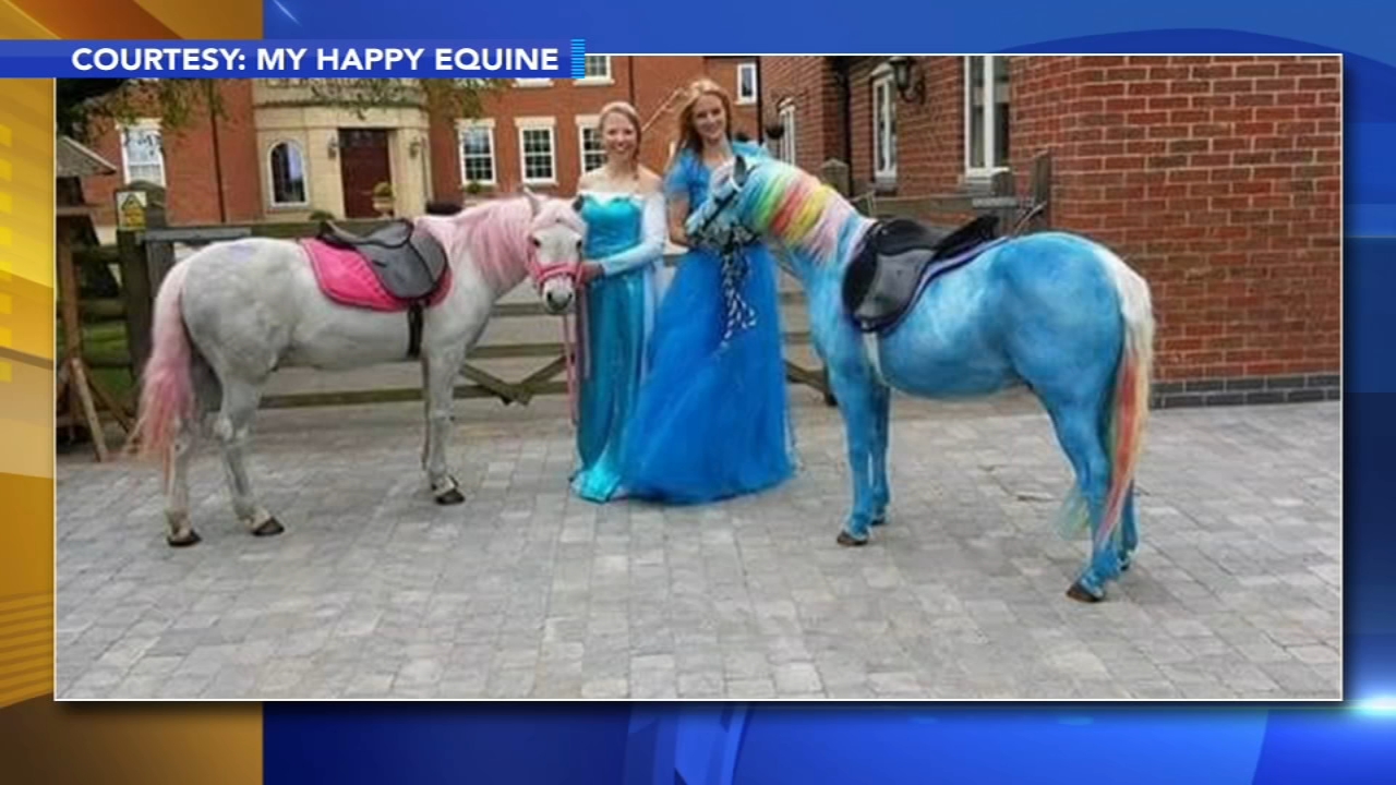 1280x720 Pony Painting Party Trend Stirring Up Controversy - Painting Pony