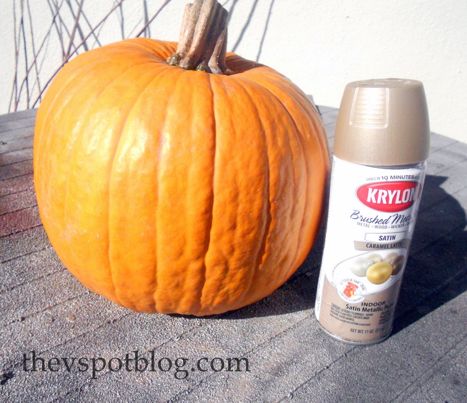 1600x1380 Spray Painted Metallic Pumpkins. (Take Halloween Pumpkins Into - Painting Pumpkins