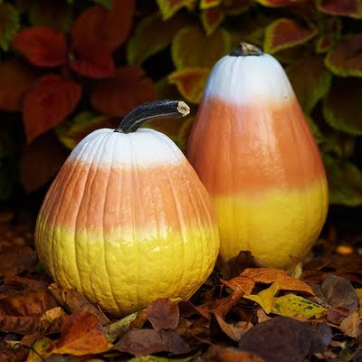 400x400 Diy Painting Pumpkins Dwell With Dignity - Painting Pumpkins