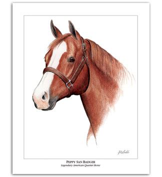 324x354 Peppy San Badger Quarter Horse Art Amp Paintings For Sale Equine - Painting Quarter Horse