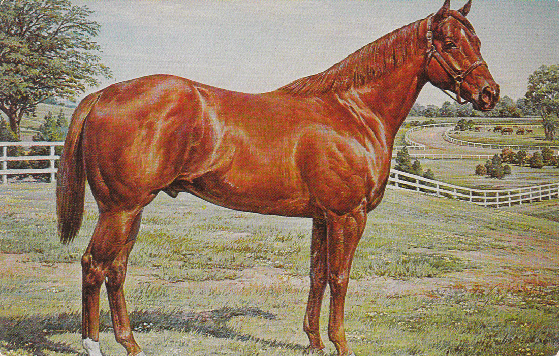 1100x701 Quarter Horses - Painting Quarter Horse