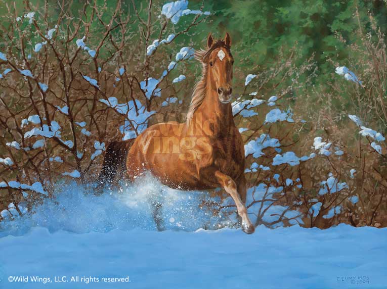 765x572 Rocky Quarter Horse Original Oil Painting Wild Wings - Painting Quarter Horse