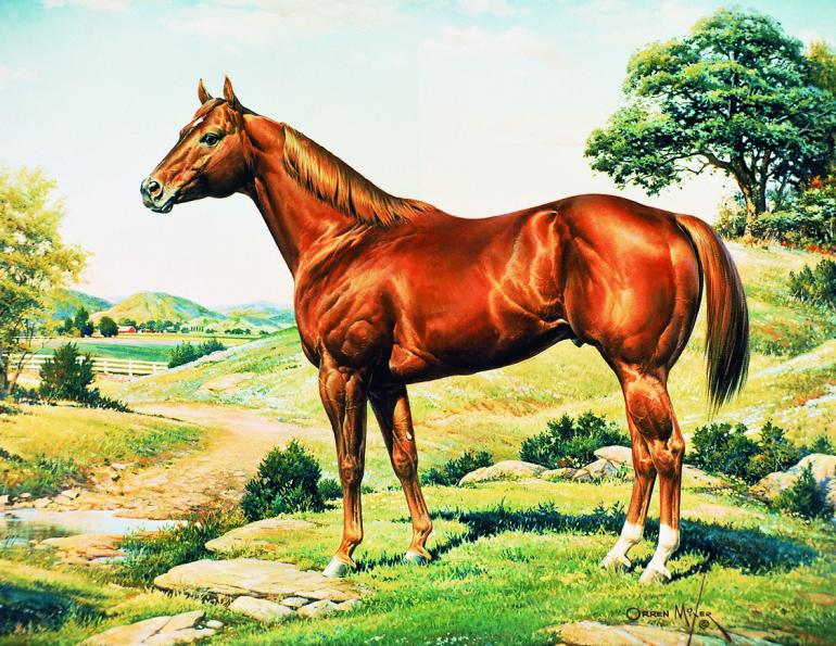 770x595 The World's Favourite Horse The American Quarter Horse Horse - Painting Quarter Horse