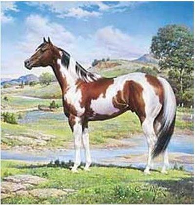 400x420 Artist Orren Mixer~ Edmond, Oklahoma, Usa - Painting Quarter Horse