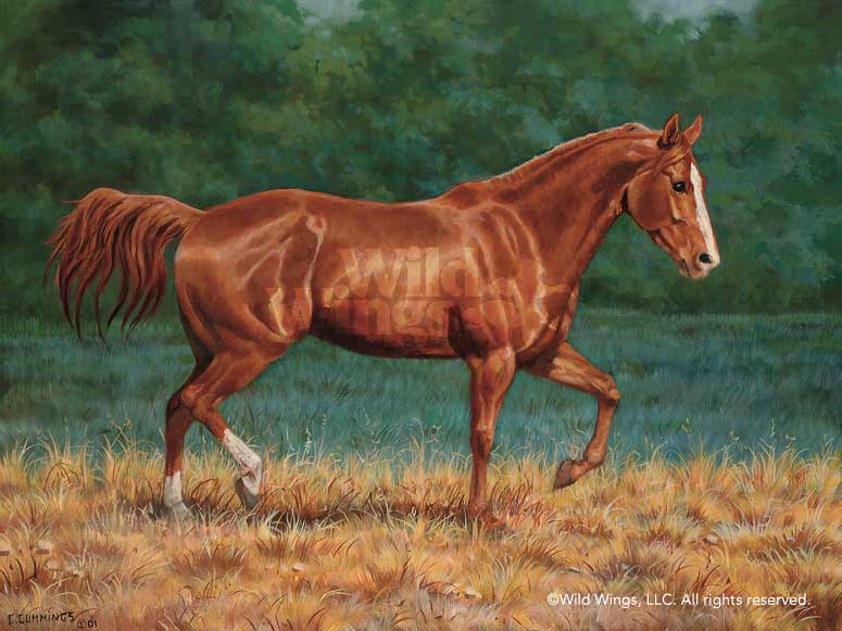 775x581 Horse Painting Sorrel Quarter Horse By Chris Cummings Wild Wings - Painting Quarter Horse