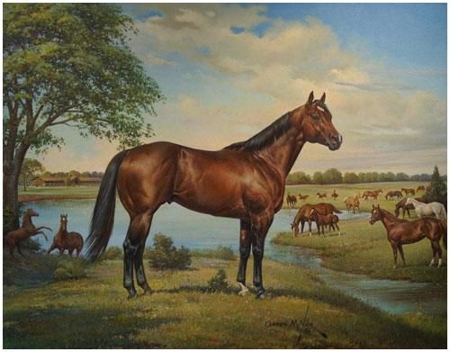 500x391 Mr Impressive By Orren Mixer (Thanks Santiago For Identifying Him - Painting Quarter Horse