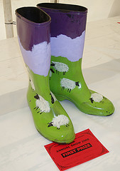 169x240 Painted Rain Boots Amp Rack - Painting Rain Boots