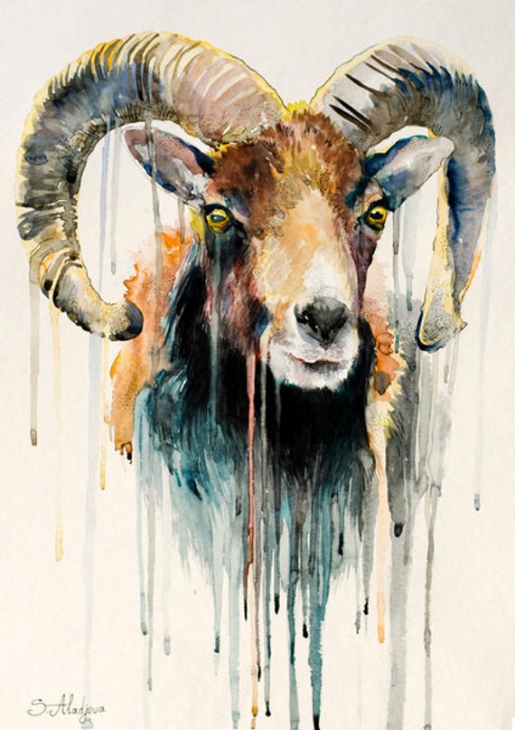 570x807 Original Watercolour Painting Ram Goat Animal - Painting Ram