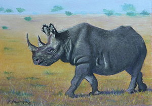 300x210 Rhino Horn Paintings - Painting Rhino Horns
