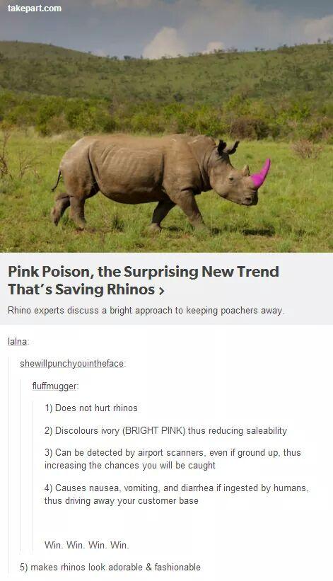 471x821 Pink Horn Rhino Tumblr Know Your Meme - Painting Rhino Horns
