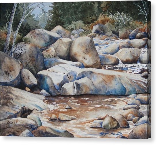 546x505 River Rocks Painting By Daydre Hamilton - Painting Rocks On Canvas