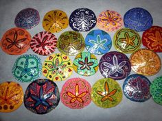 236x177 Hand Painted Sand Dollar - Painting Sand Dollars