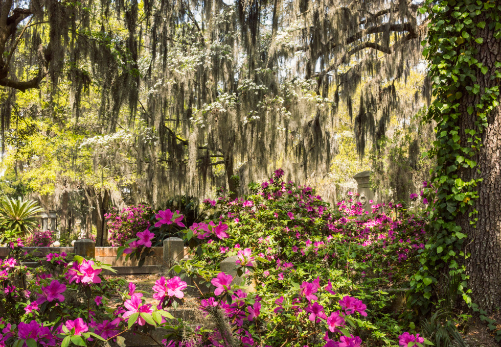 980x680 Guide To Savannah - Painting Savannah Ga