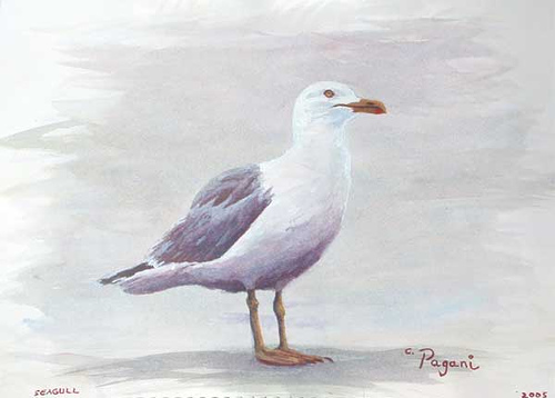 500x358 Oregon Seagull Painting Detested By Some, Harrassed By - Painting Seagulls