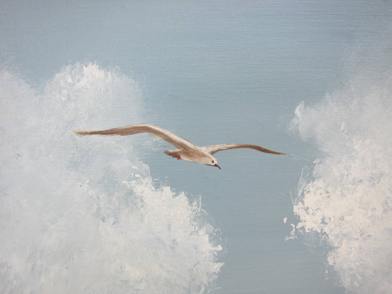 1280x960 Seagull Oil Painting - Painting Seagulls