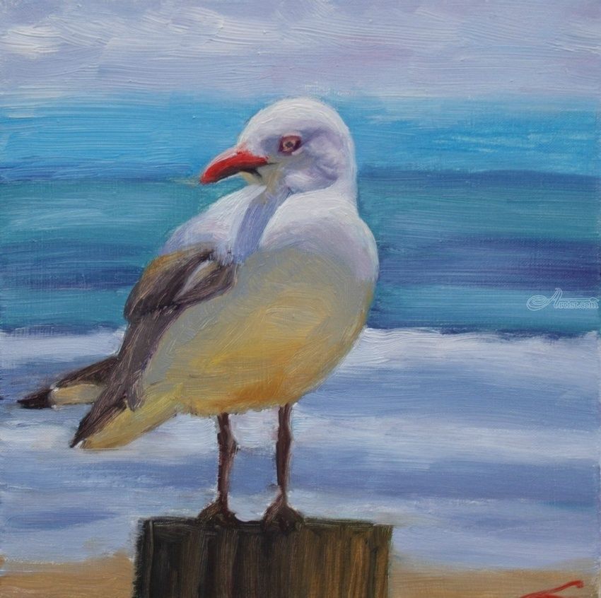 850x846 Seagull Paintings By Elena Sokolova - Painting Seagulls