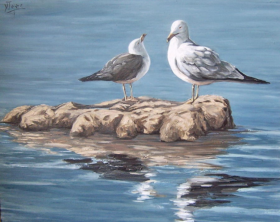 900x715 Seagulls In The Sea Painting By Natalia Tejera - Painting Seagulls