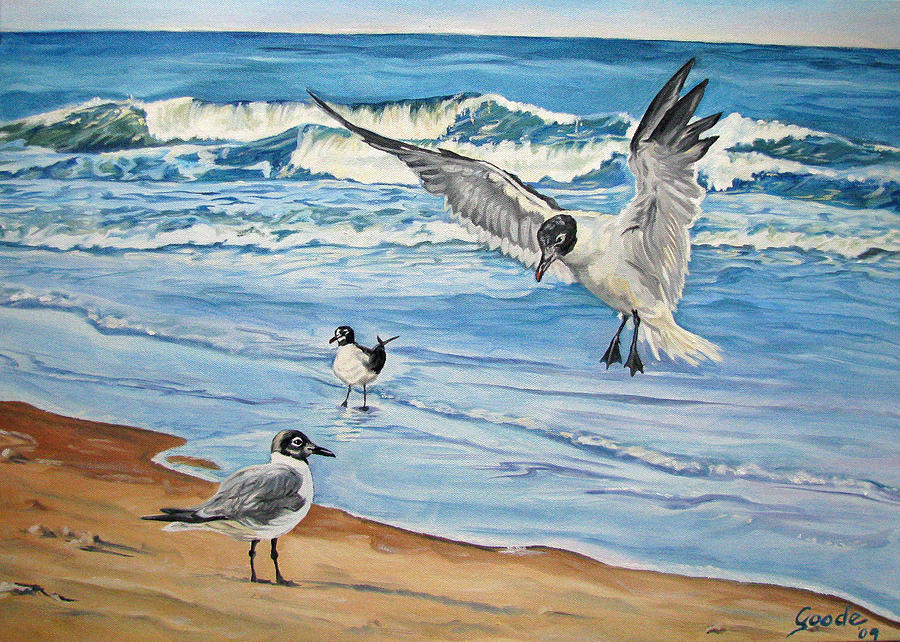 900x642 Seagulls Painting By Jana Goode - Painting Seagulls
