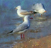 214x200 Daily Painters Of Virginia - Painting Seagulls