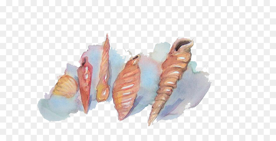 900x460 Seashell Watercolor Painting - Painting Seashells In Watercolor