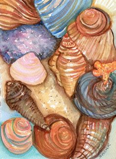 236x324 Watercolor Painting Of Shells On The Beach Wonderful Detail - Painting Seashells In Watercolor